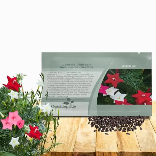 Best Vines For Trellis - 2026 Reviews - ReGrow